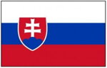 Slovenský jazyk